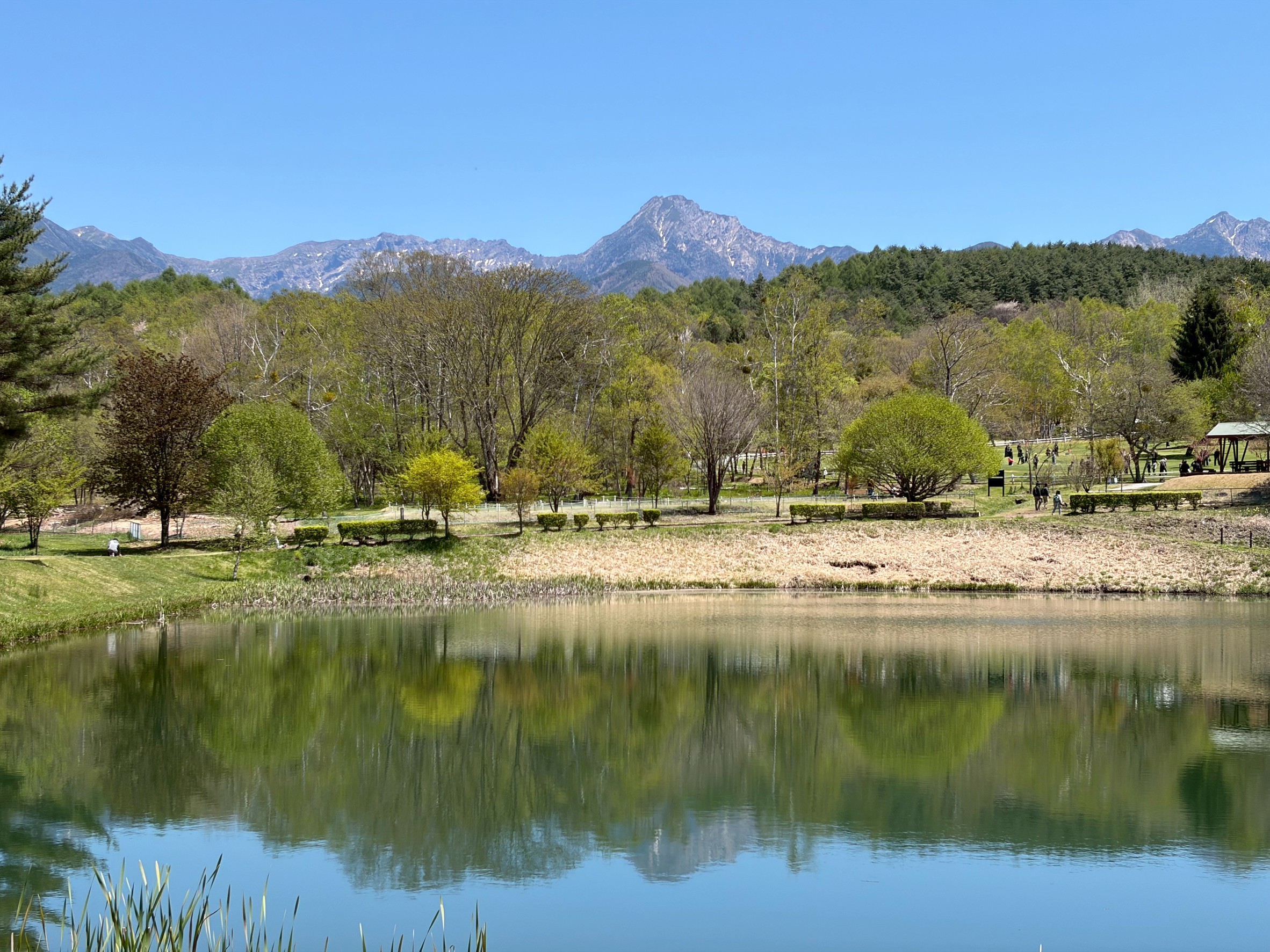 山並みと新緑が水面に映る八ヶ岳の風景